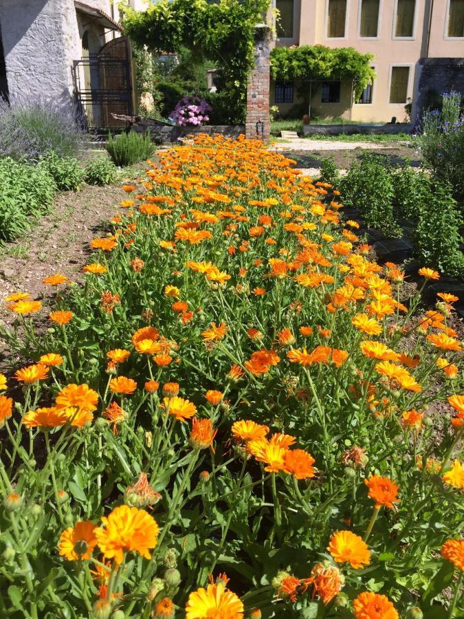 הוילה Farra di Soligo Fiori&Vigne Di Cecilia Marcon מראה חיצוני תמונה